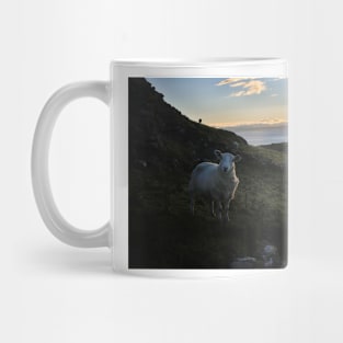 Early morning sheep on Skye - Isle of Skye, Scotland Mug